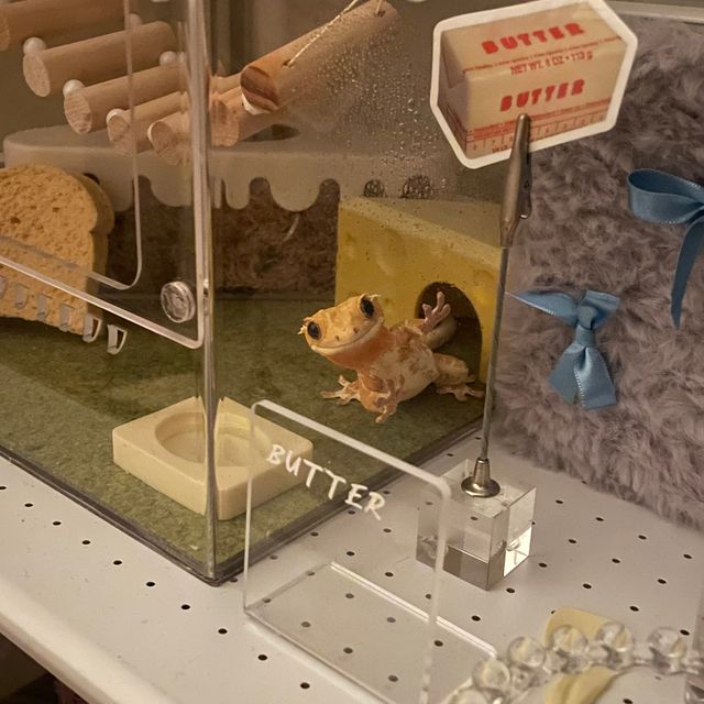 릴리화이트 크림