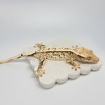 경매 답변 이미지