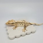 경매 답변 이미지