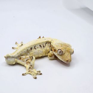 스패너