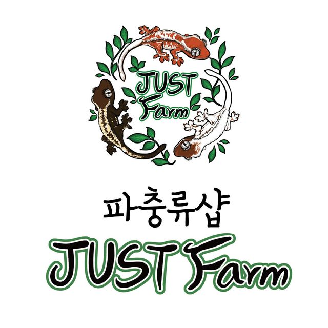 트라이