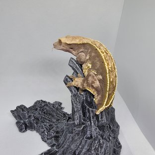 노멀 풀핀 핀스트라이프