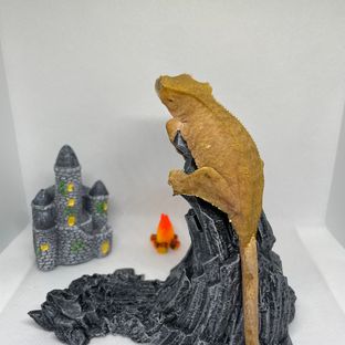 100%헷아잔틱 벅스킨