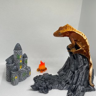 100%헷아잔틱 트라이 레드