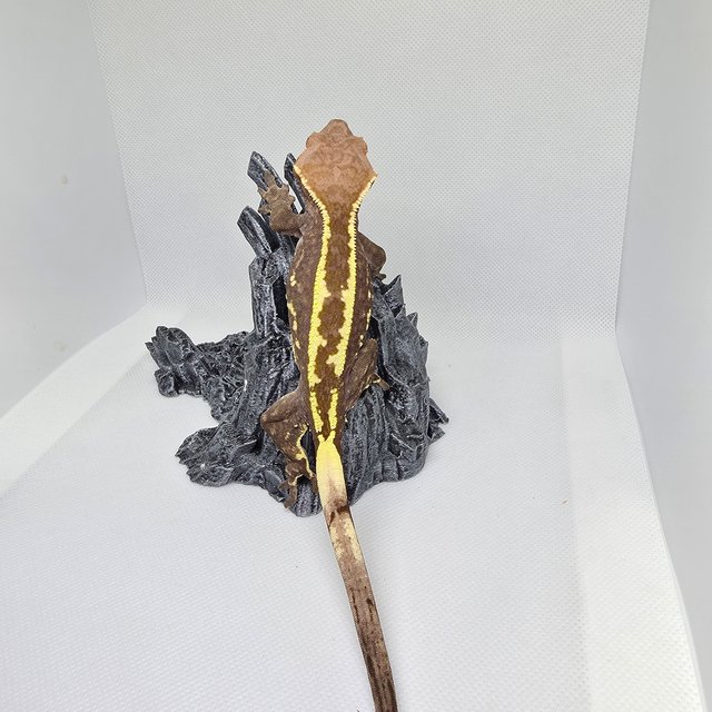 카푸치노 핀스트라이프 화이트포트홀