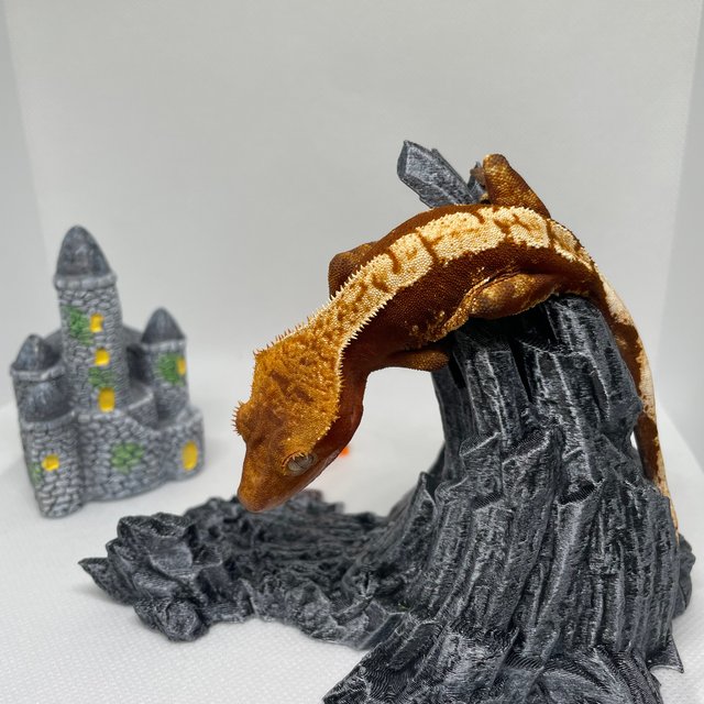 100%헷아잔틱 트라이 레드