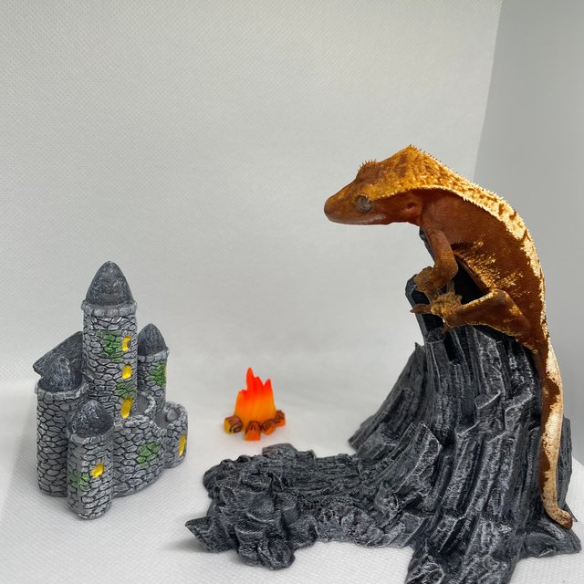 100%헷아잔틱 트라이 레드