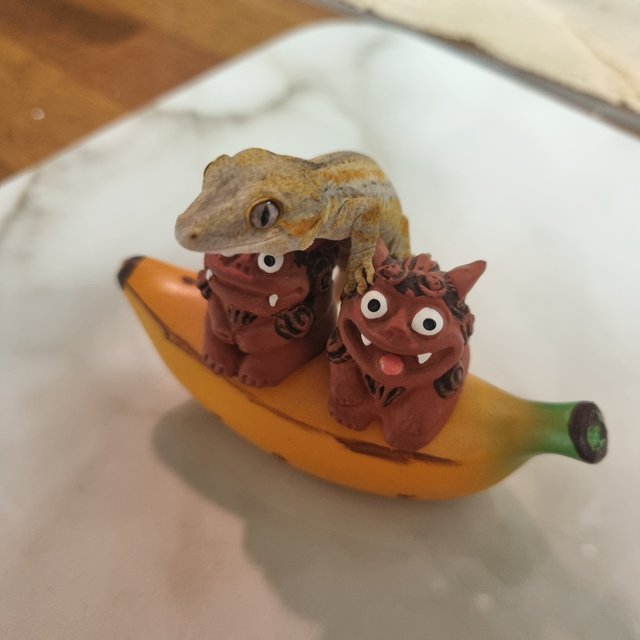 옐로우 오렌지 스트라이프