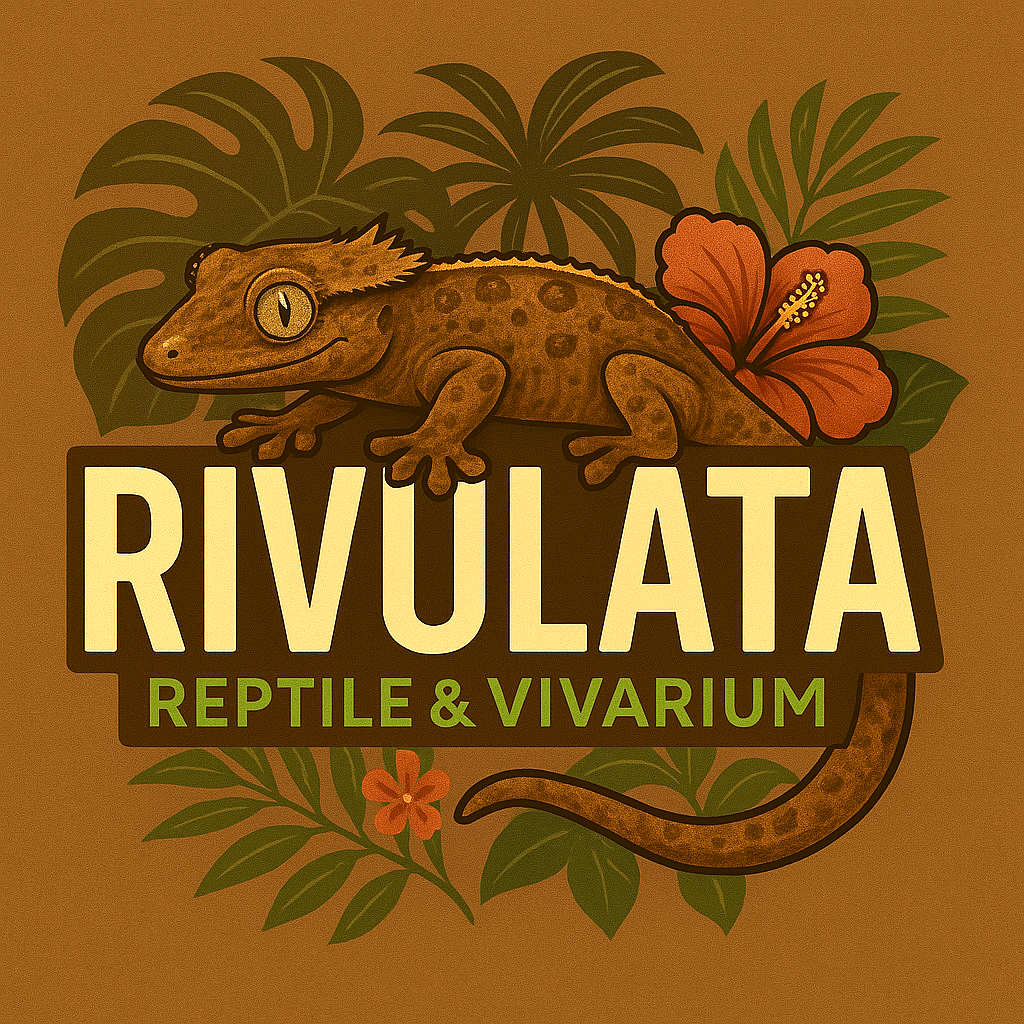 rivulata