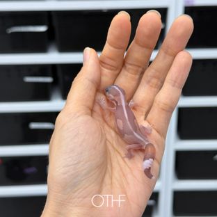 카라멜 제로