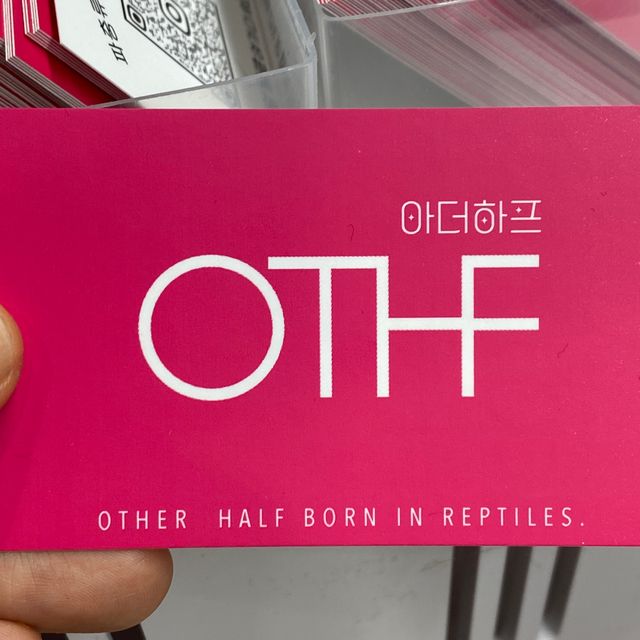 노멀