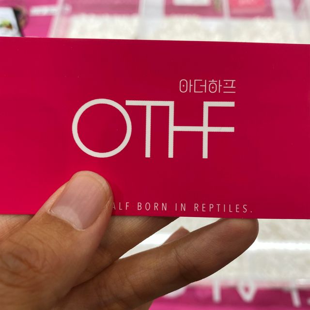 노멀