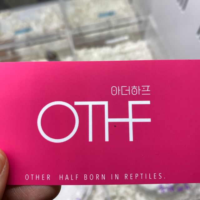 노멀 헷 아멜라니스틱 헷 패턴리스
