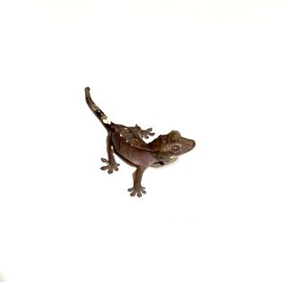 아잔틱
