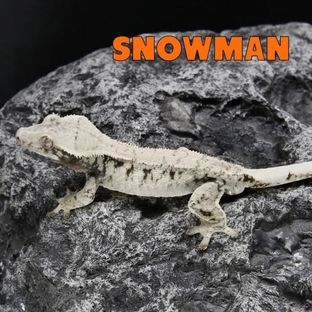 스노우맨