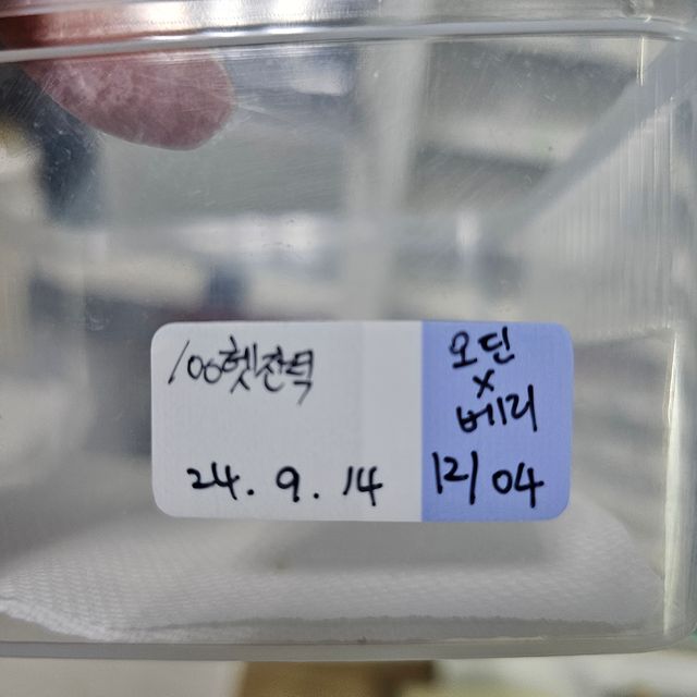 100%헷아잔틱