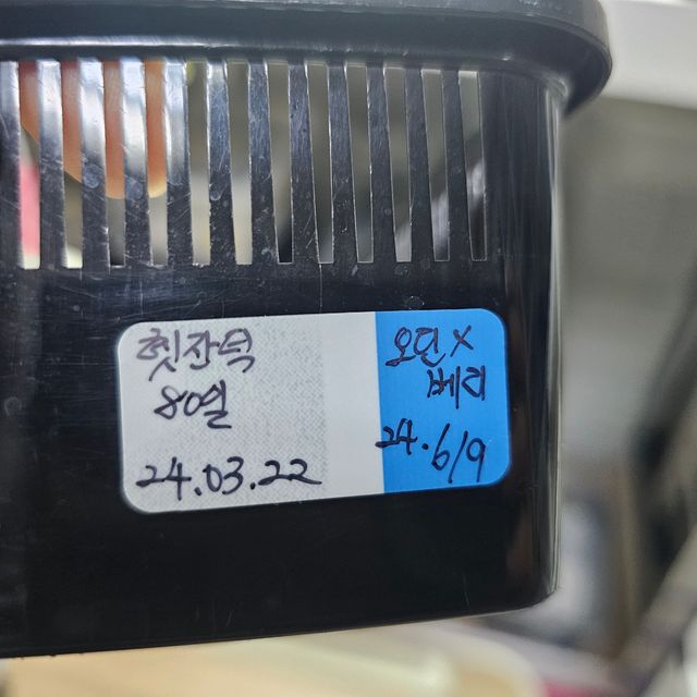 100%헷아잔틱