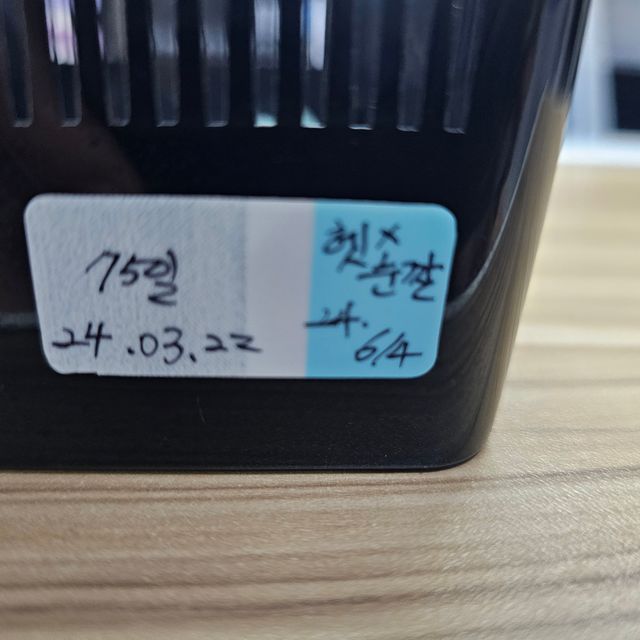 릴리화이트