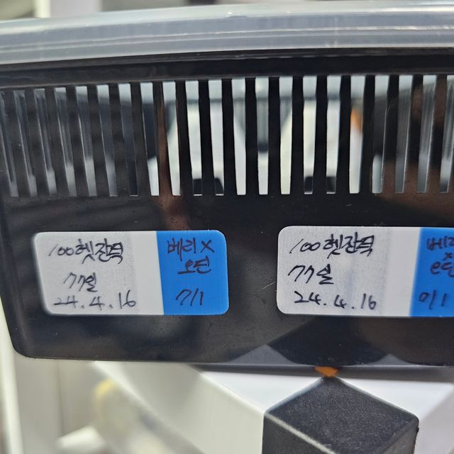 100%헷아잔틱