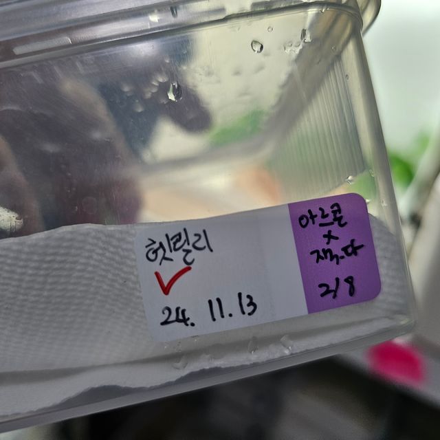 릴리100%헷아잔틱