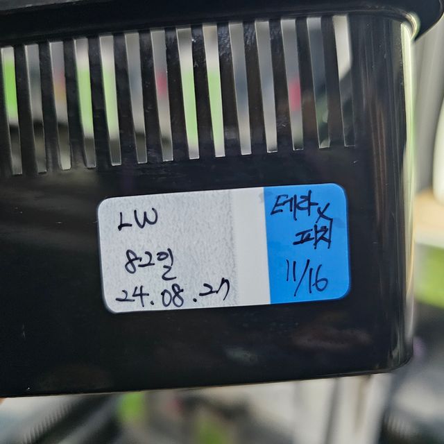 릴리화이트