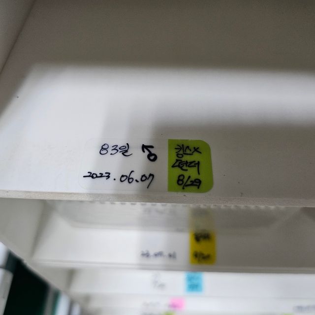 노멀 트라이 핀스트라이프 할리퀸 젠젝스