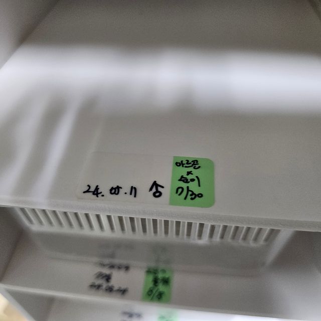 노멀
