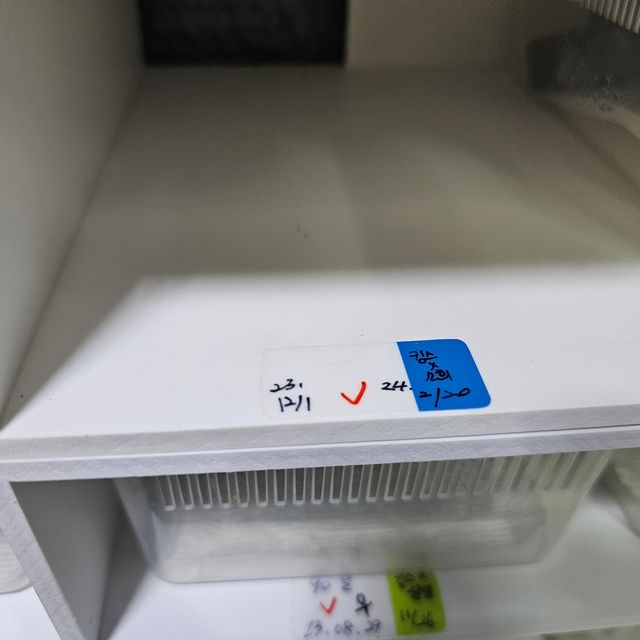젠젝스 핀스트라이프 할리퀸