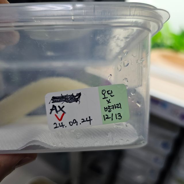 아잔틱