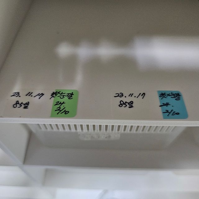 릴리화이트 릴리100%헷아잔틱