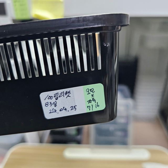 릴리100%헷아잔틱