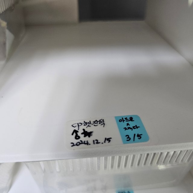 카푸치노 100%헷아잔틱