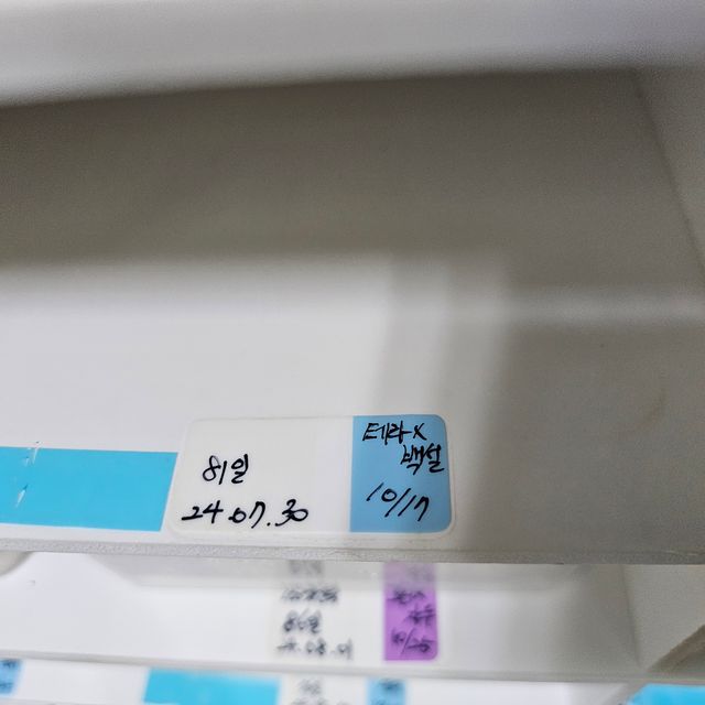 노멀