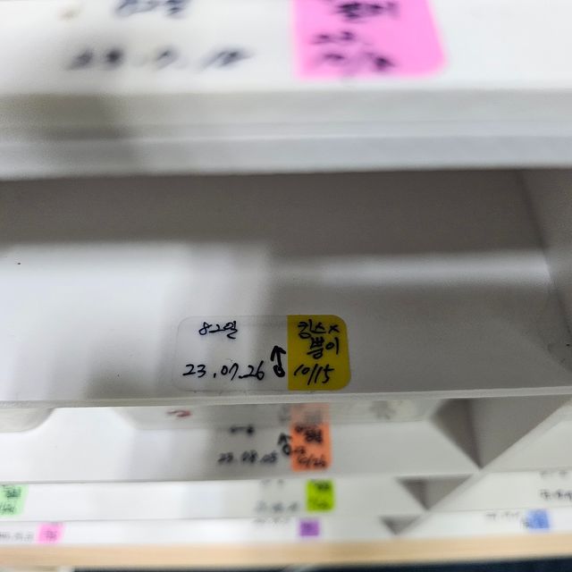 노멀 트라이 풀핀 할리퀸 젠젝스
