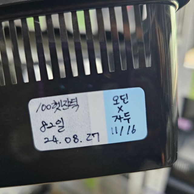 100%헷아잔틱