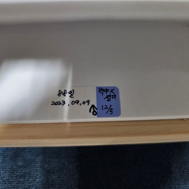 릴리화이트
