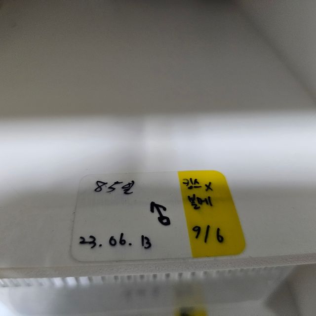 노멀 트라이 핀스트라이프 할리퀸 젠젝스