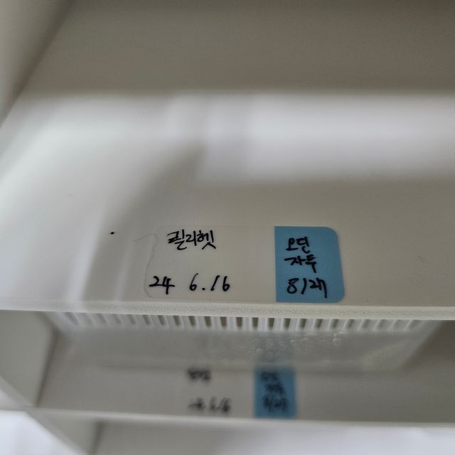 릴리100%헷아잔틱