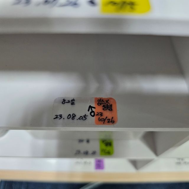 노멀 트라이 핀스트라이프 할리퀸 젠젝스