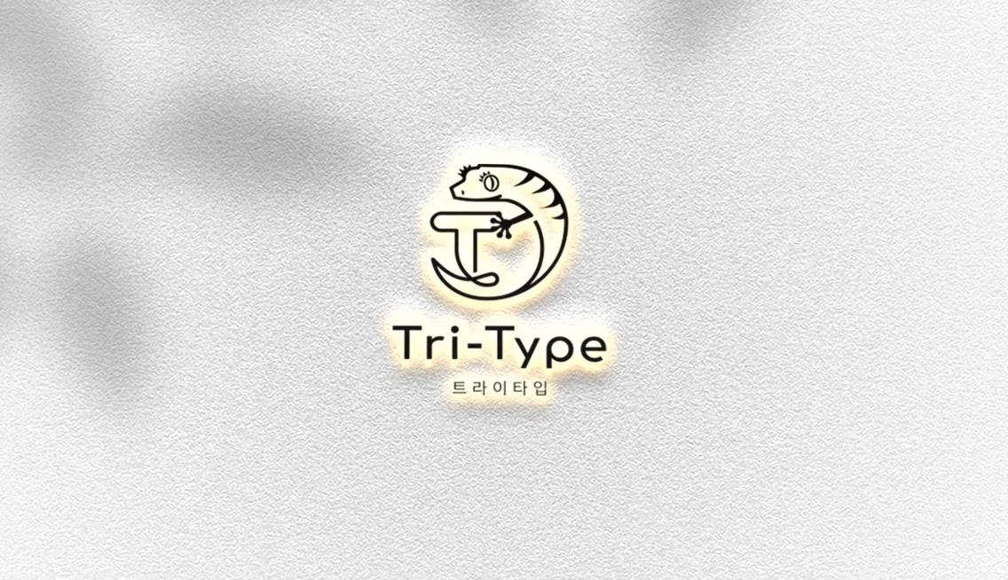 트라이타입