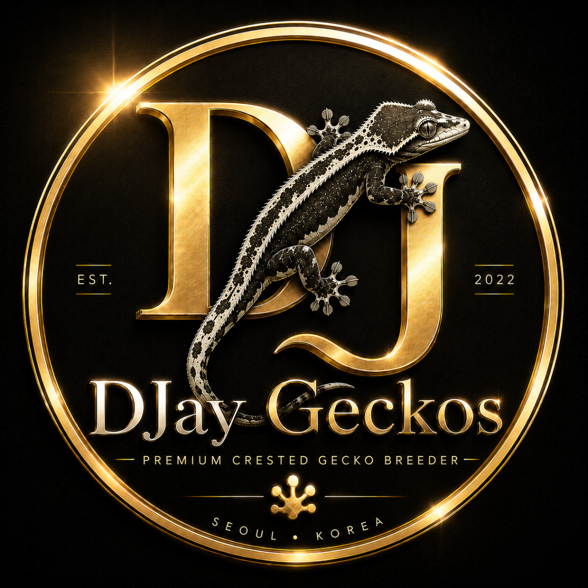 DJayGeckos