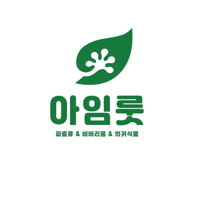 노멀 할리퀸 다크