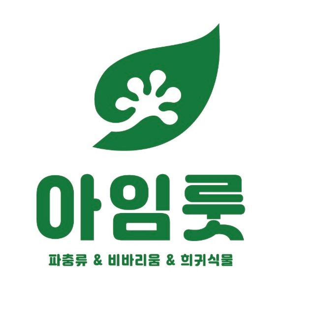 노멀 쿼드 트라이