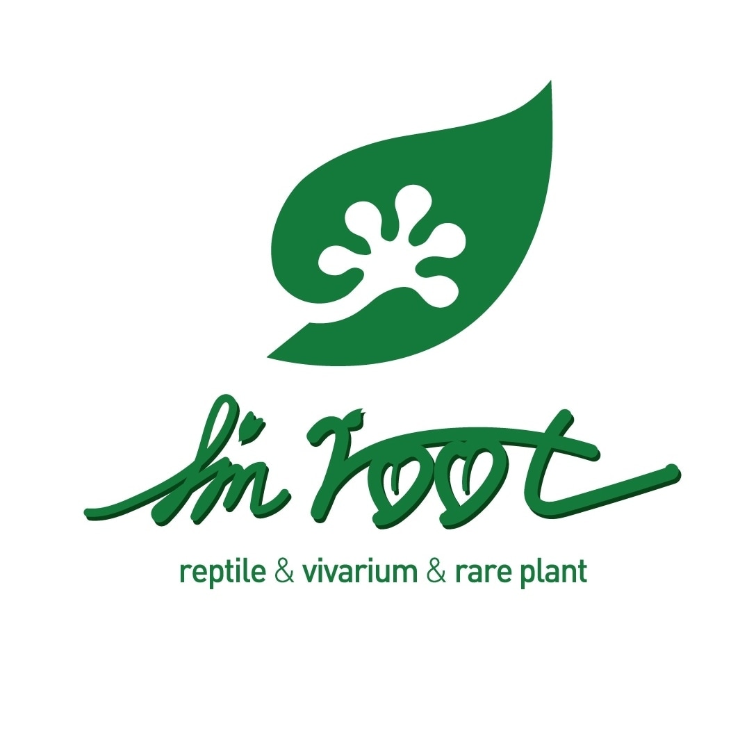 아임룻Imroot