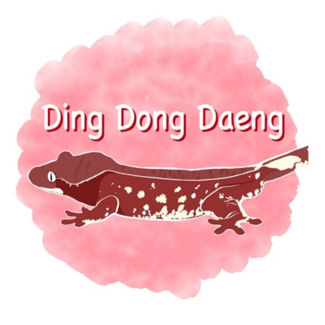 레드