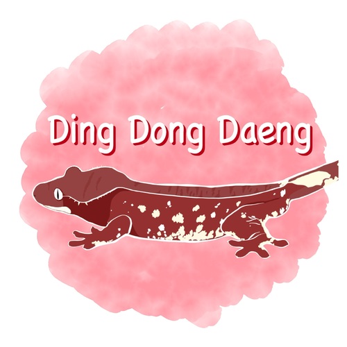 딩동댕