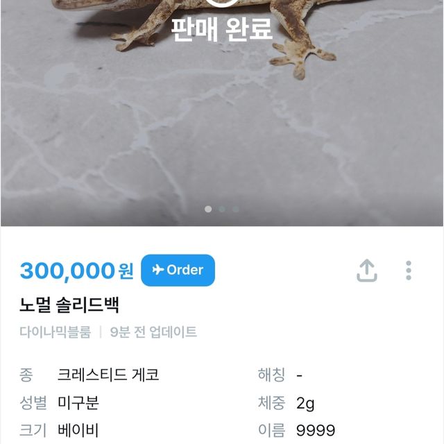 노멀