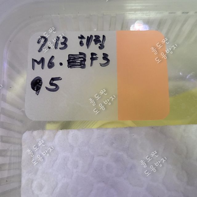 릴리화이트 팬텀