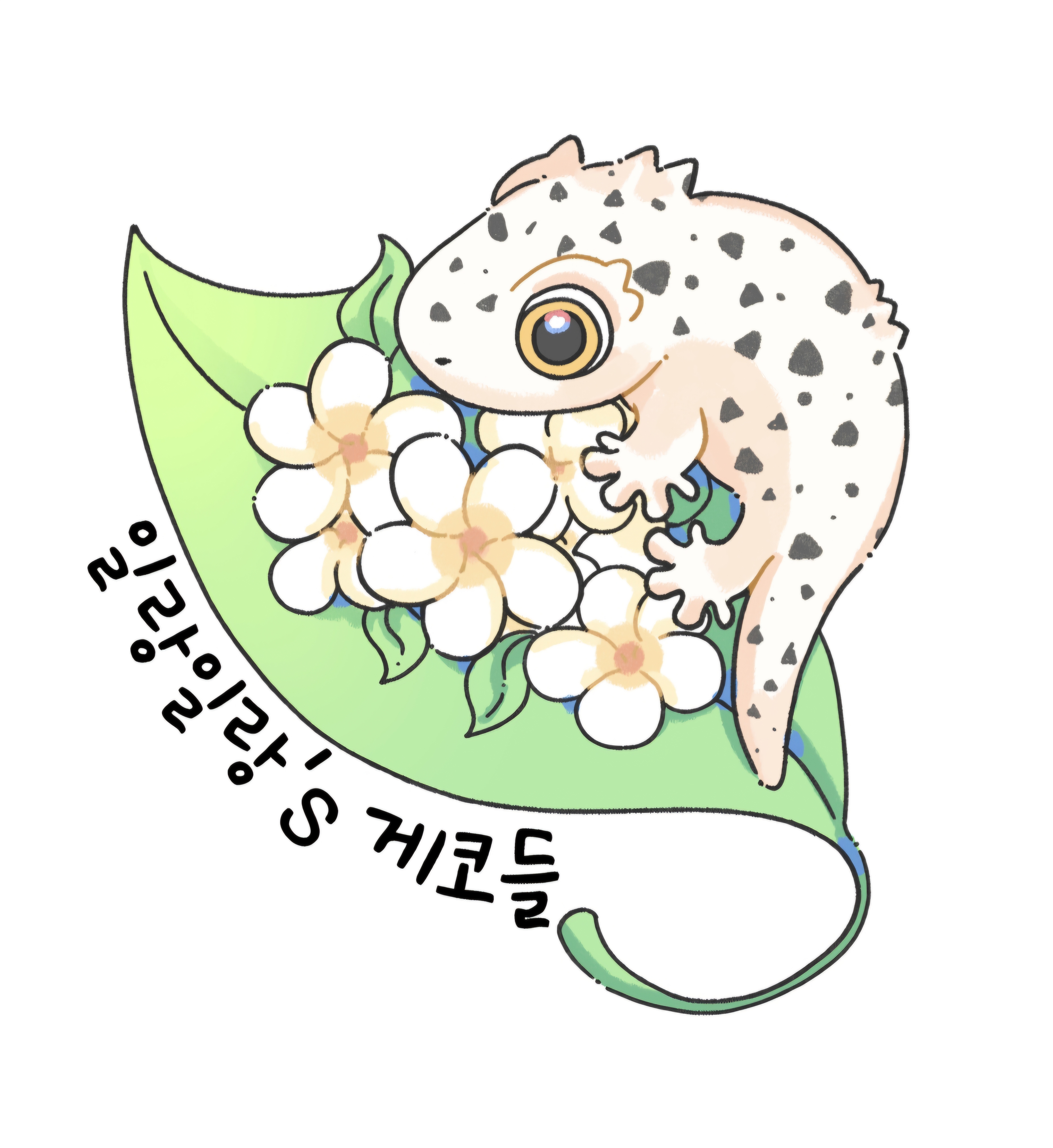 일랑일랑게코들