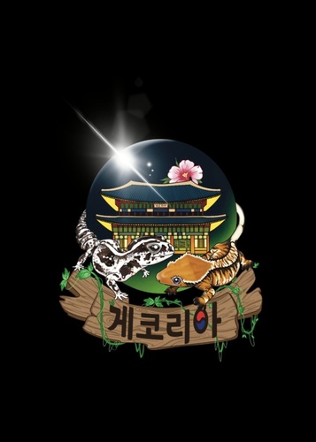 게코리아